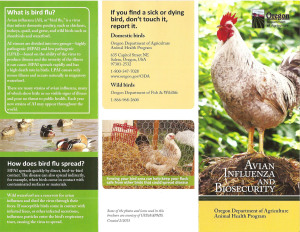 Oregon Dept. of Agriculture's new brochure on Avian Influenza.